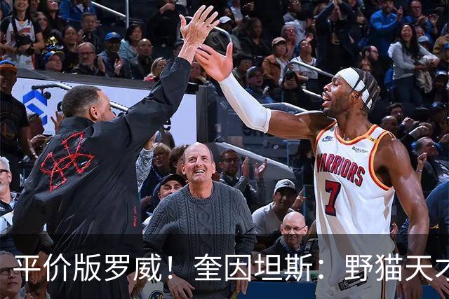 平价版罗威！奎因坦斯：野猫天才内线 存伤病隐患 罚球致敬米切罗